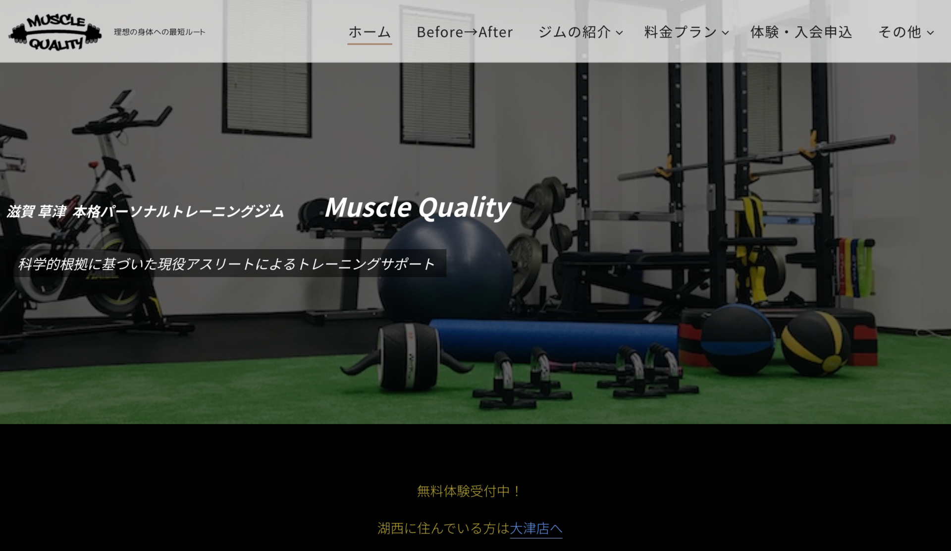 Muscle Quality